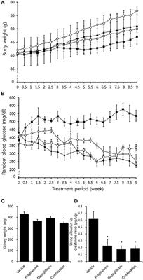 Combining <mark class="highlighted">SGLT2 Inhibition</mark> With a Thiazolidinedione Additively Attenuate the Very Early Phase of Diabetic Nephropathy Progression in Type 2 Diabetes Mellitus